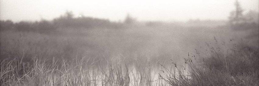 Ｂｌｏｇｇｕｅｕｒ banner