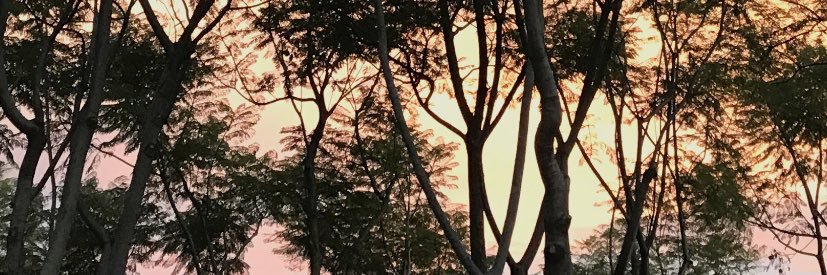 MartinHR1232's profile banner image