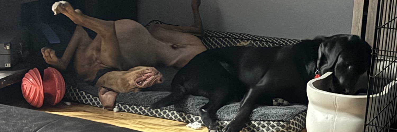 alinarod22's profile banner image