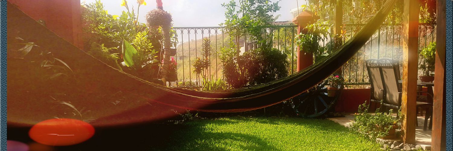 mg banner