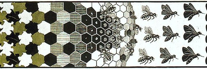 Alfredo González-Espinoza banner