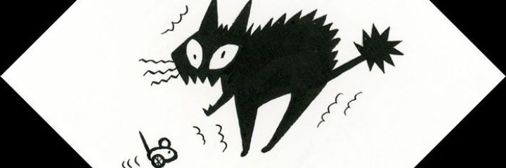 MNattally's profile banner image