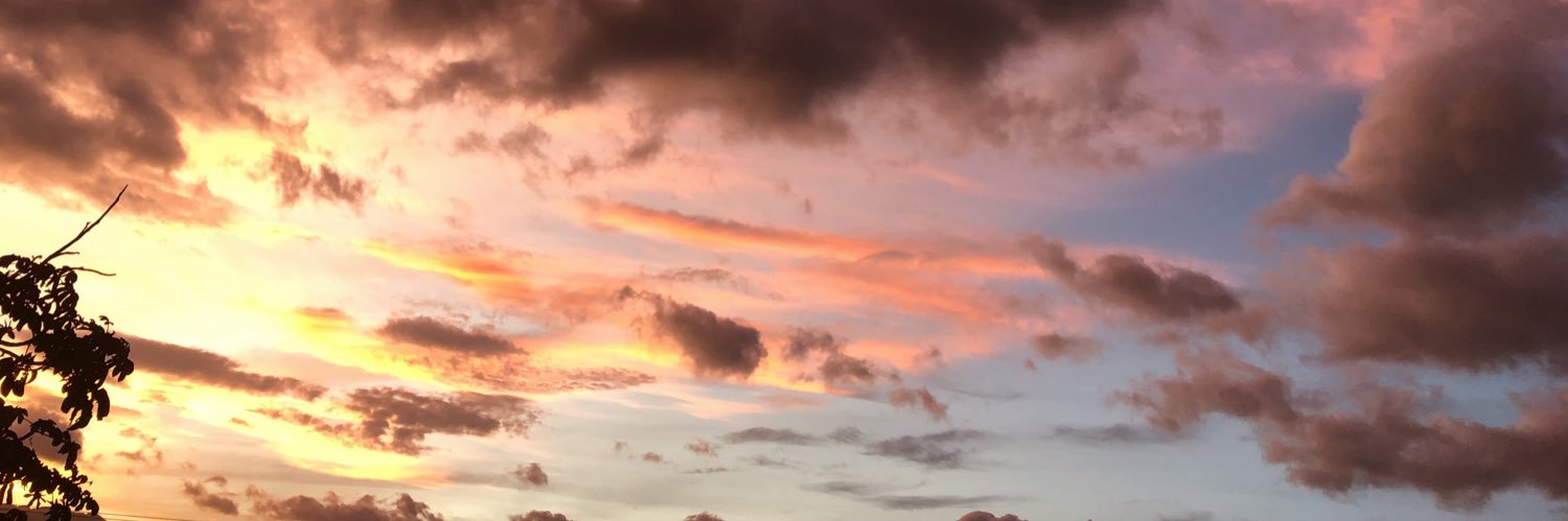 celiaaaaaj's profile banner image