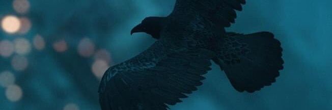 ,Mais, banner