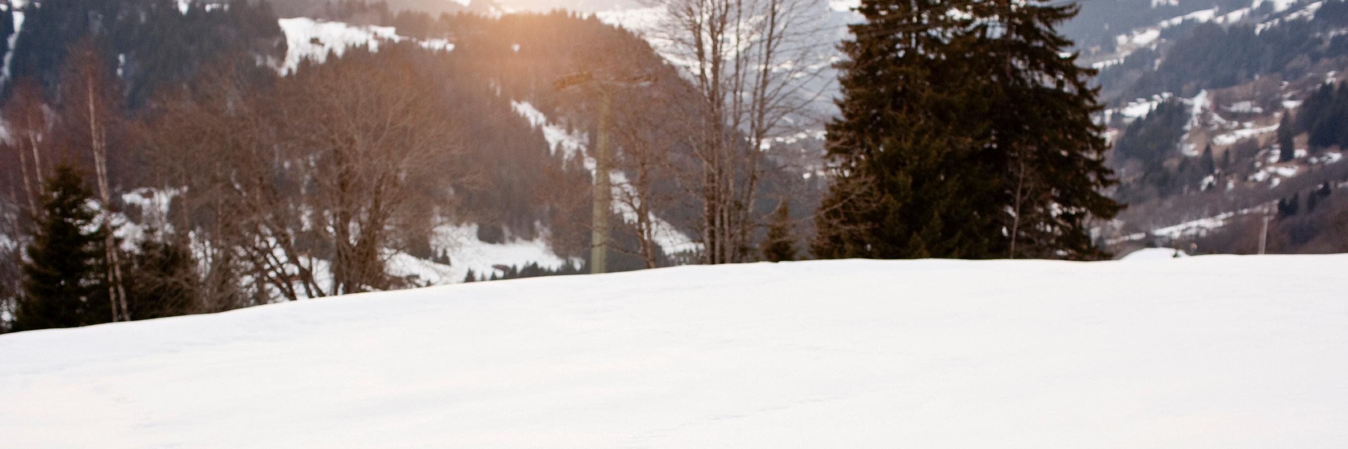 CerebralPalsy.org banner