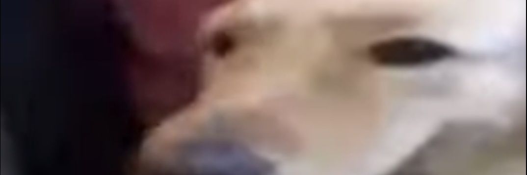Brayton_12's profile banner image