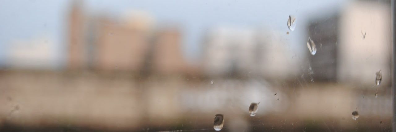 Tomás banner
