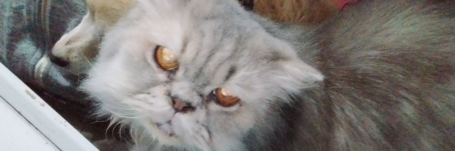 Yovistar 🐶🌈🐱💙🖖🏻👽🖖🏻ᅠᅠᅠᅠ banner