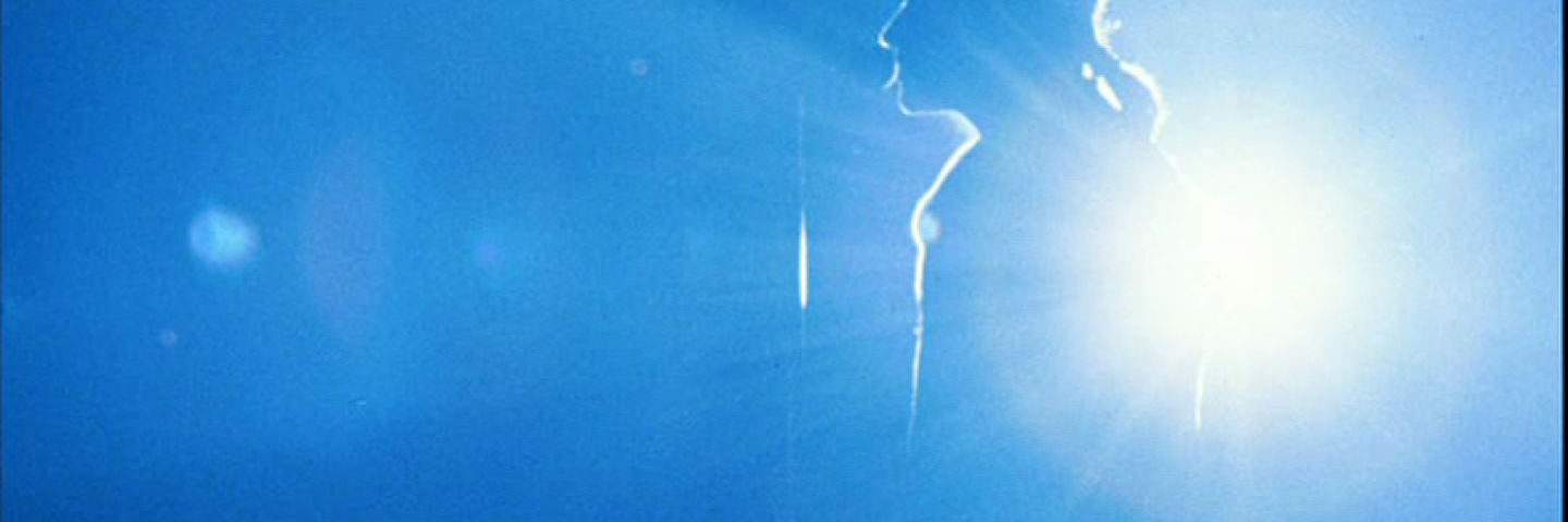 twkitter's profile banner image