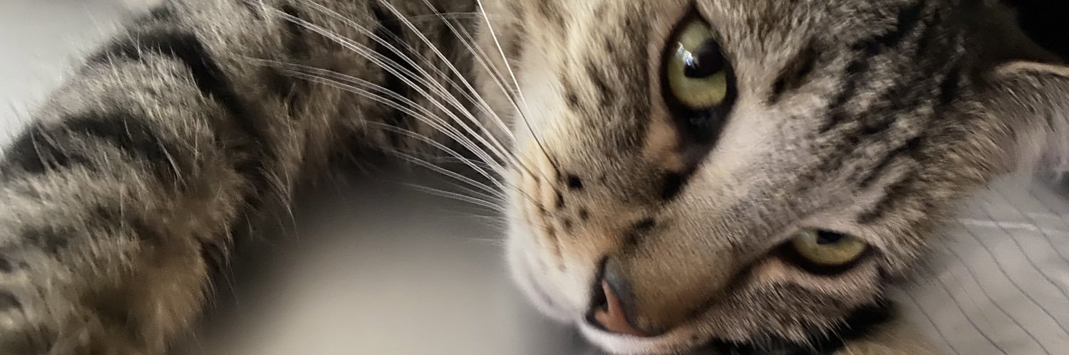 KoolG623 🌵 banner