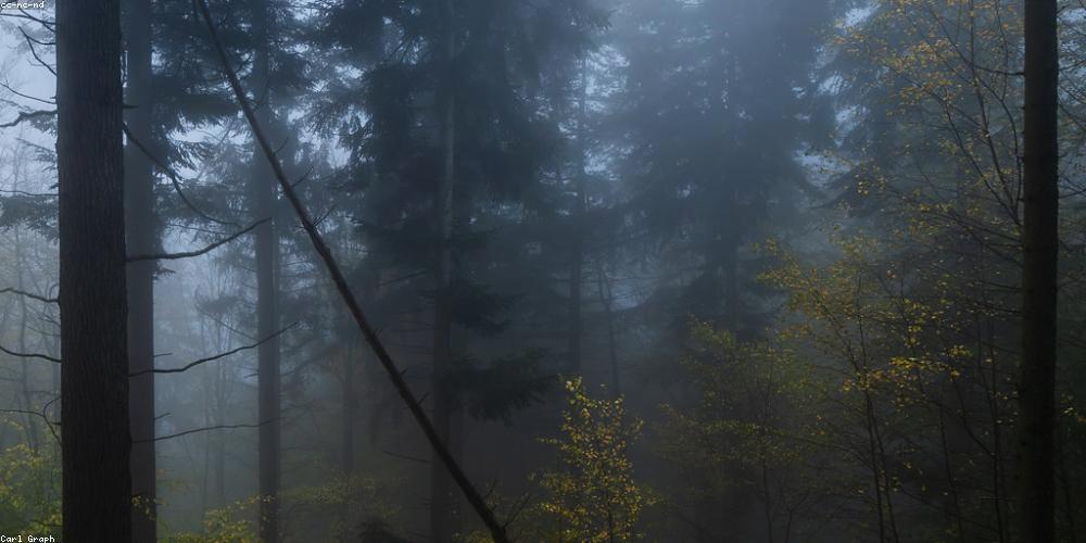 drizzzzyk's profile banner image