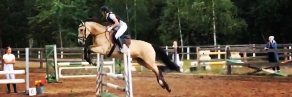Eeva Tiainen banner