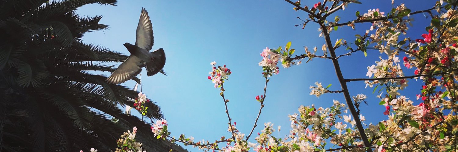 Desirée Nilsson desireenilsson.bsky.social banner