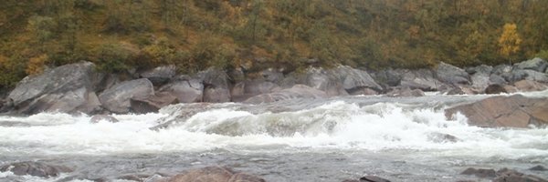 SarittaDuhamel Profile Banner