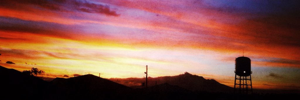 dreamofmonkeys's profile banner image