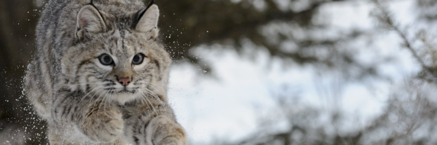The Nature Conservancy in NJ banner