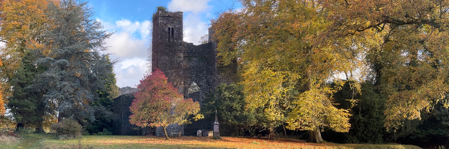 Stefano Rosignoli banner