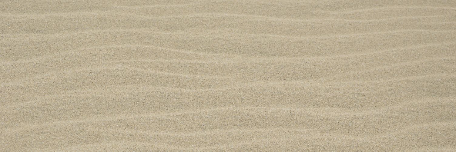 Sandra Oliveira's banner