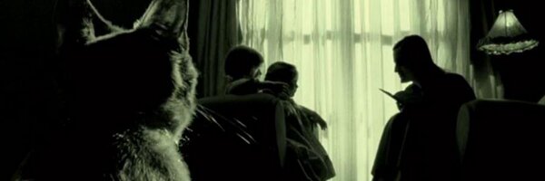 MaryAsolorio Profile Banner