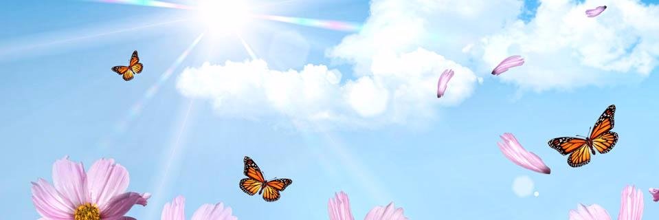 Dave .W banner