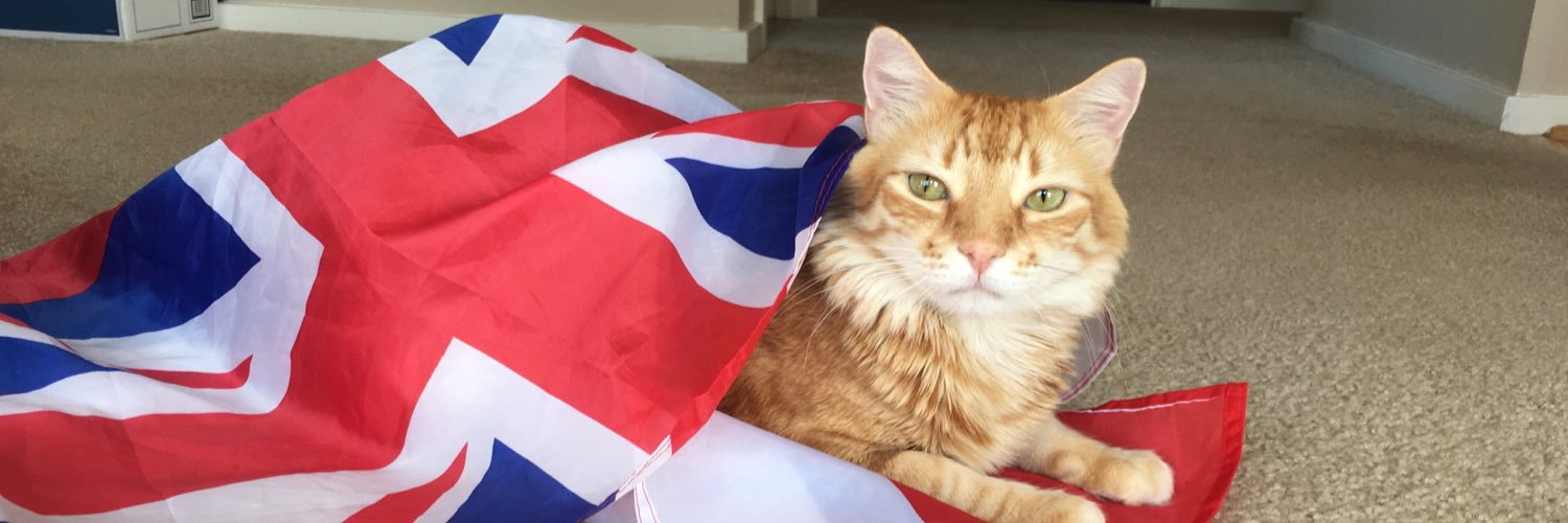 LeoDaCat808's profile banner image
