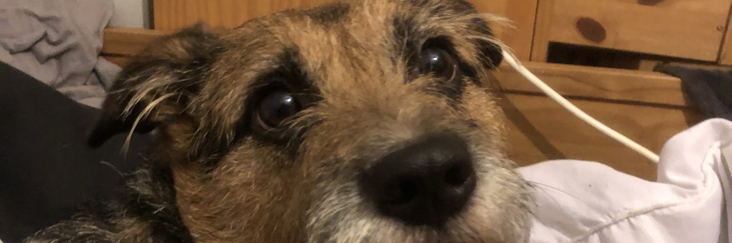 Biscqueef's profile banner image