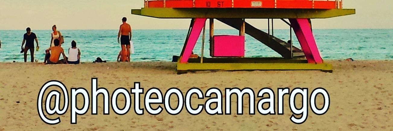 teocamargo's profile banner image