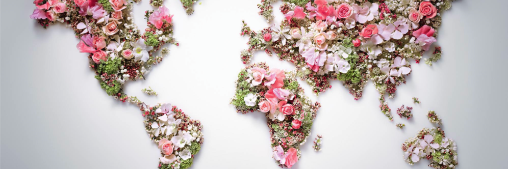 itziadafne's profile banner image