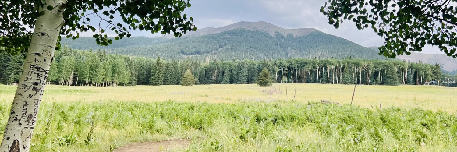 ellieblume's profile banner image