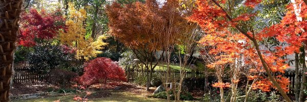 johntstasko Profile Banner