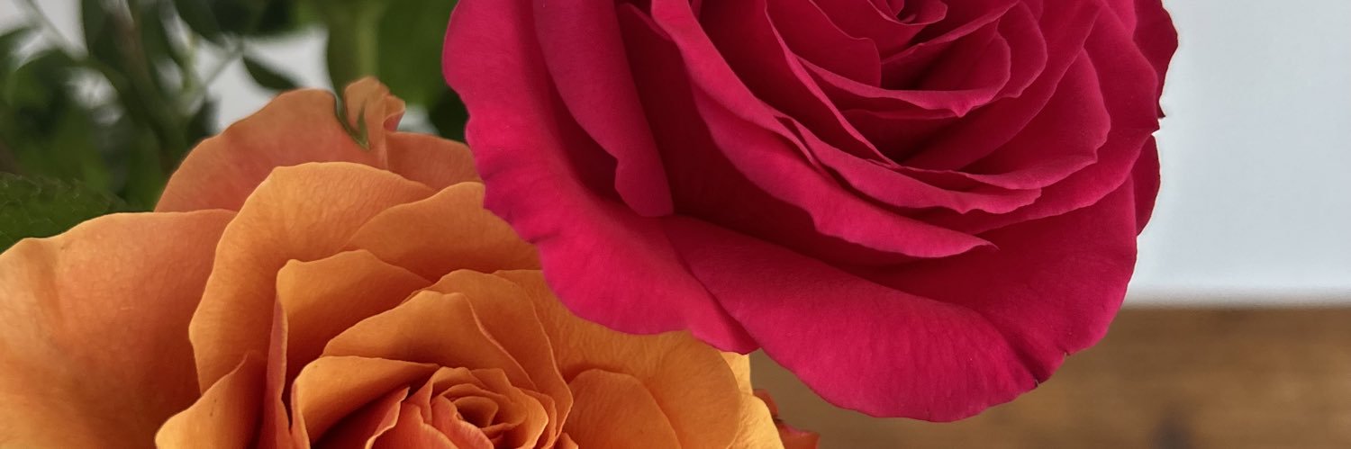 chloetc_'s profile banner image
