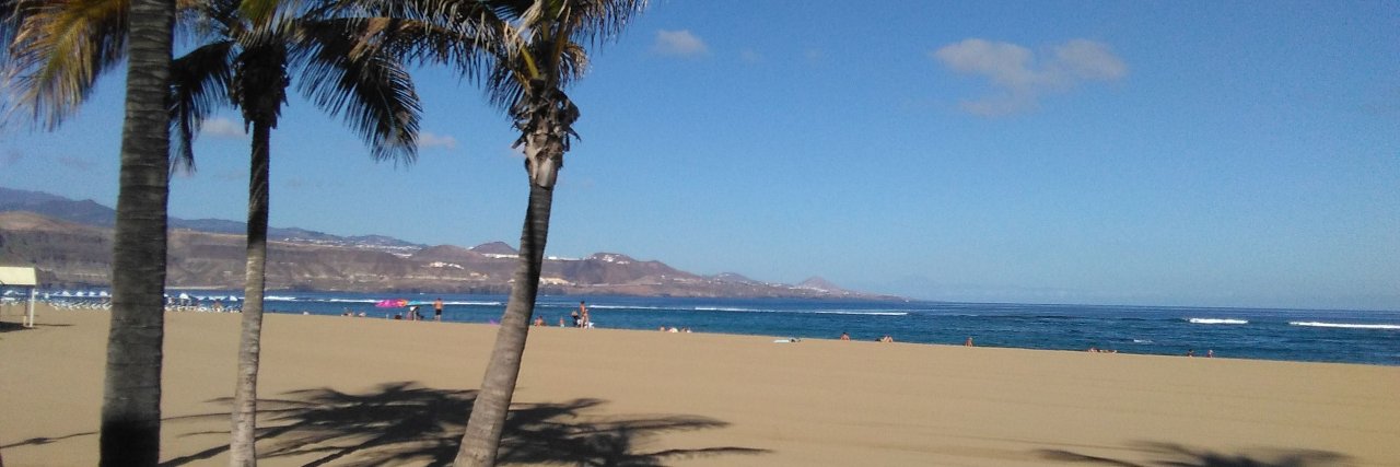 Monica B Betancor 🇮🇨 banner