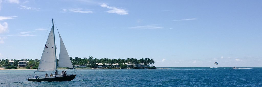 BlueMarlinMotel banner