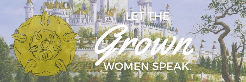 LadyOTyrell's profile banner image