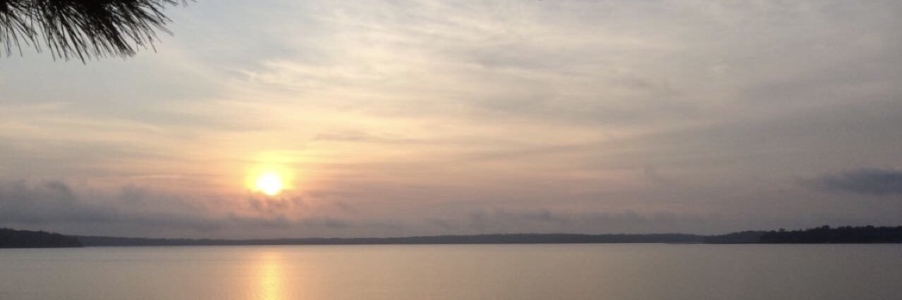 jharsko's profile banner image