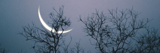 brreskva's profile banner image