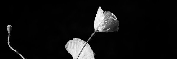 beauvais Profile Banner