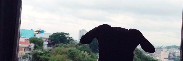 davebenicio's profile banner image