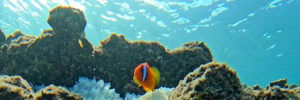 chr_shigematsu Profile Banner