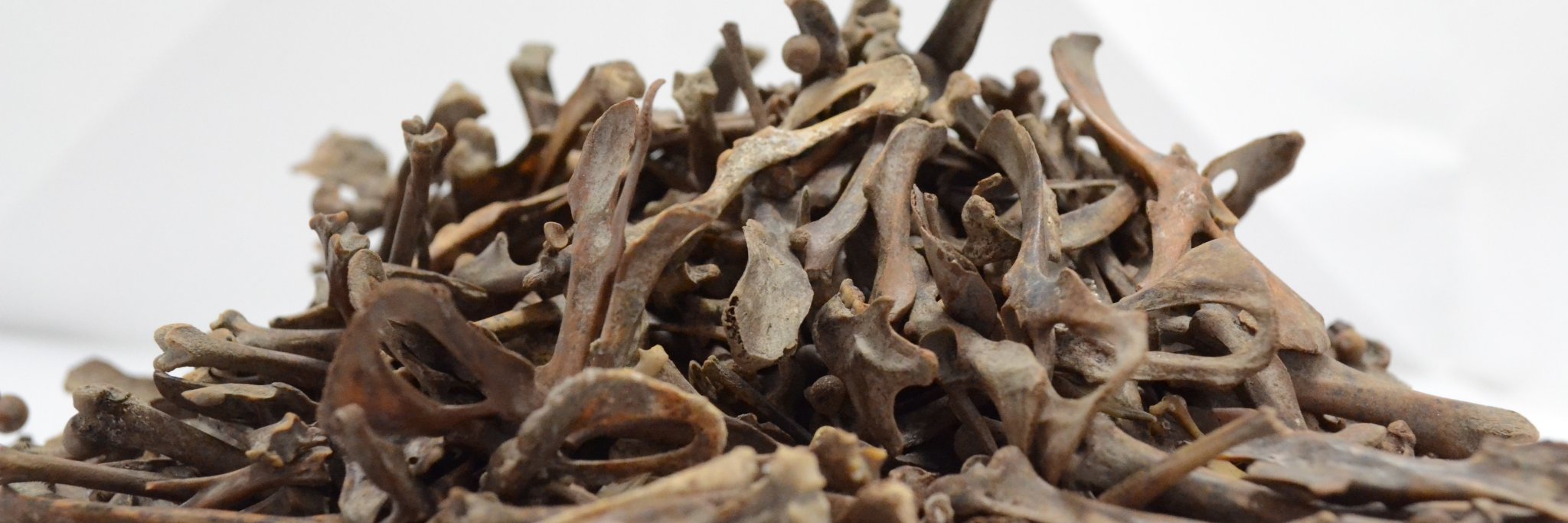 Liz M. Quinlan 🏳️‍🌈 banner