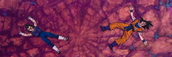 YankeeLibrarian Profile Banner
