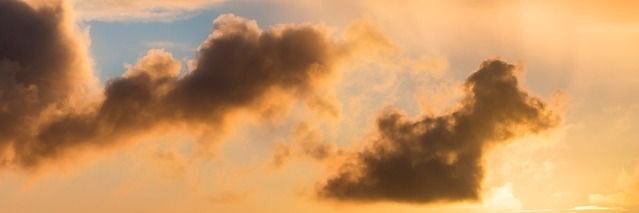 crystal_halwick's profile banner image