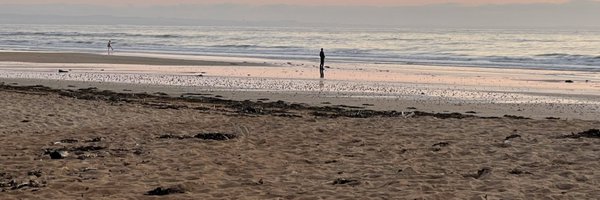 shones17 Profile Banner