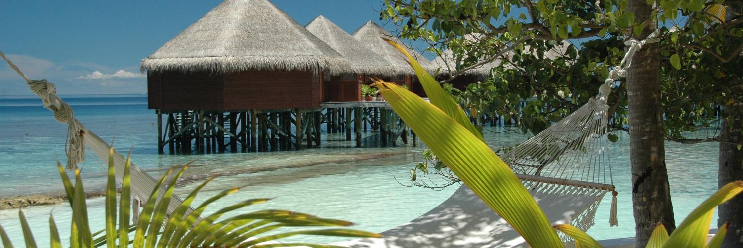 Gerhard Ecker banner