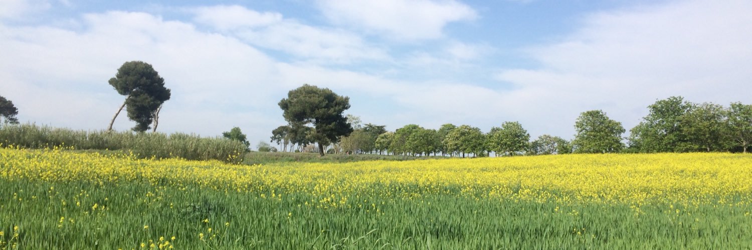 Isabel Román Martín🌱 banner