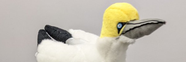 Morlock_84 Profile Banner