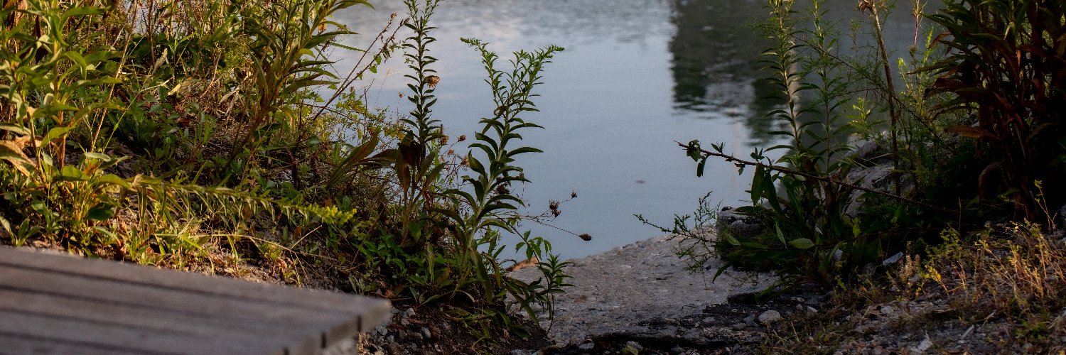 Gowanus Canal Conservancy banner