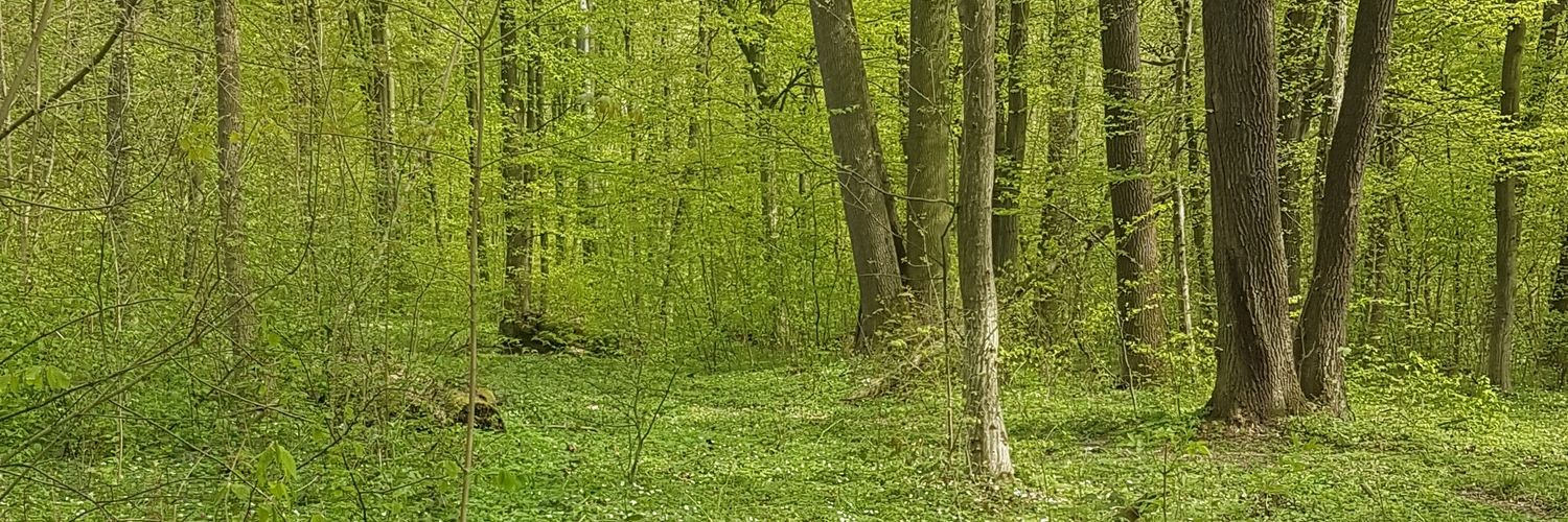 sahnalkn's profile banner image