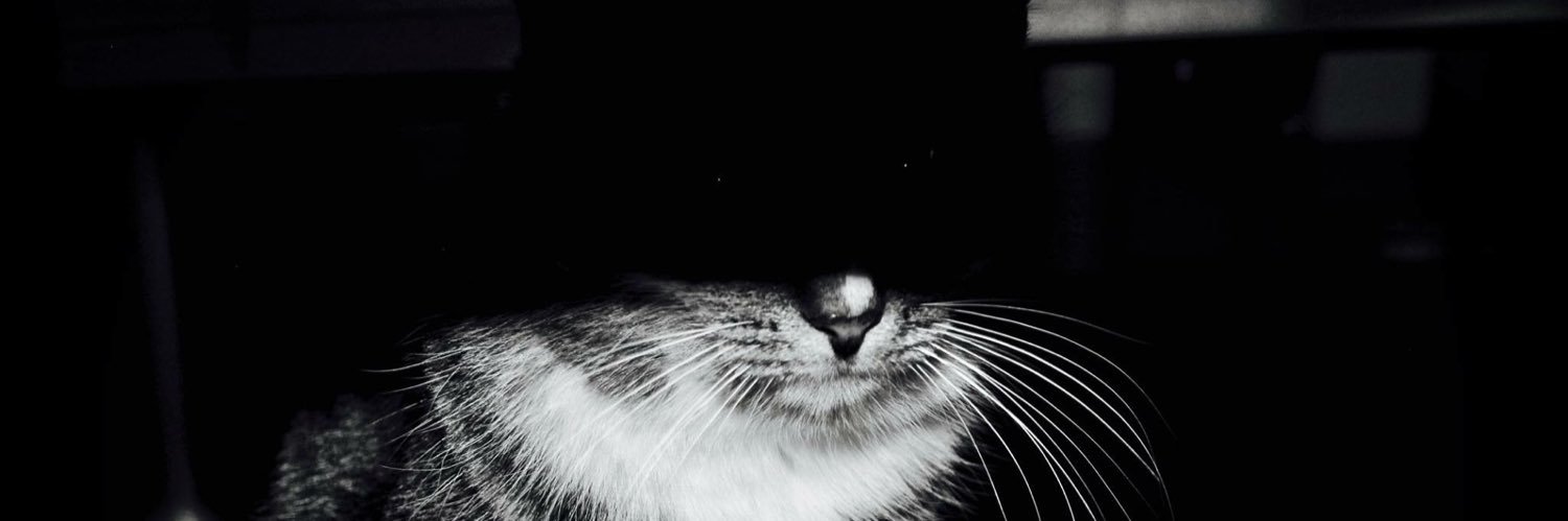 marf3120's profile banner image