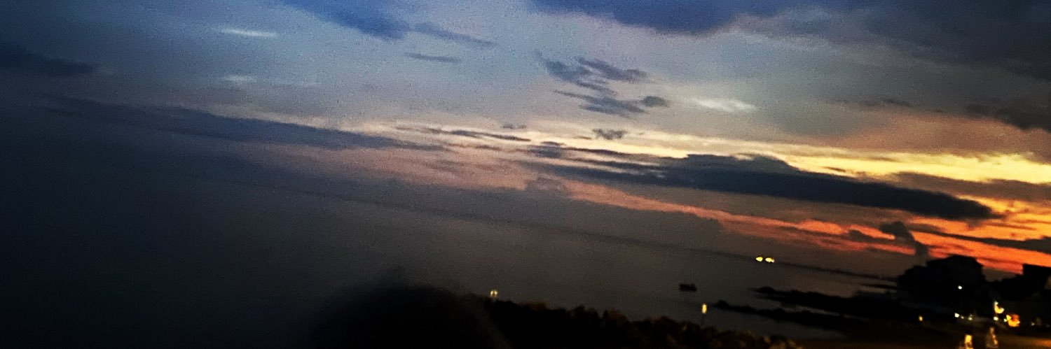 Beachcomber 🥥 🌴 banner